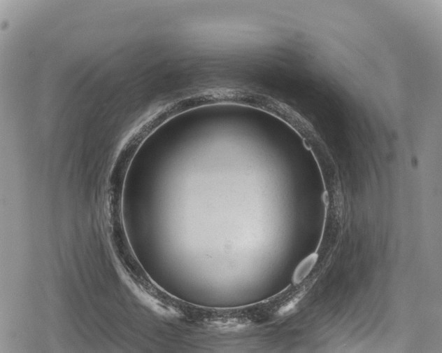 X0000080710730200612221142