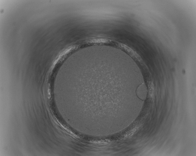 X0000080710731200612221142