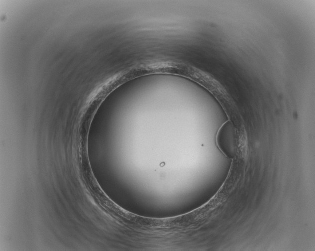 X0000080710732200612221142