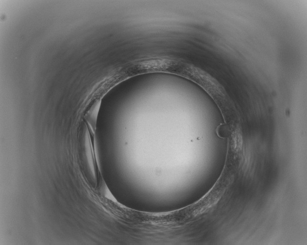 X0000080710733200612221142