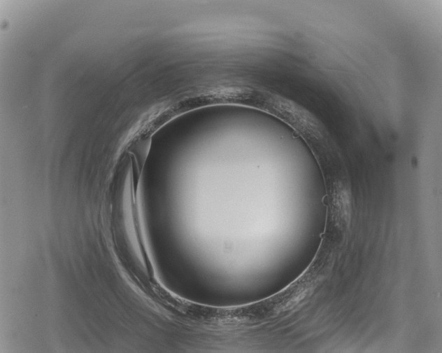 X0000080710734200612221142