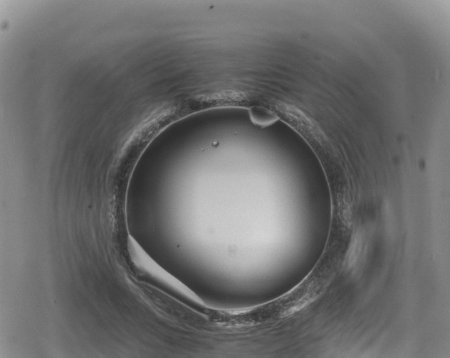 X0000080710735200612221142