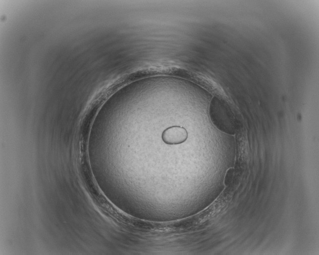 X0000080710736200612221142