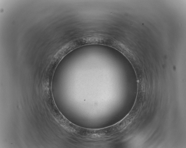 X0000080710737200612221142