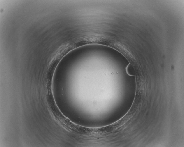 X0000080710738200612221142