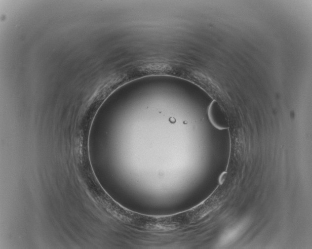 X0000080710739200612221142