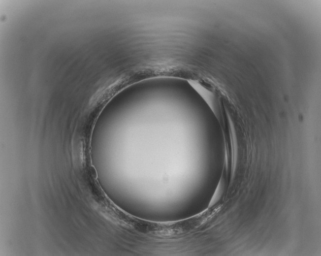 X0000080710740200612221142