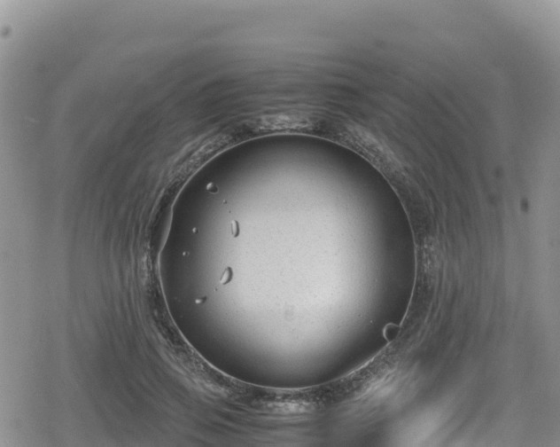 X0000080710741200612221142