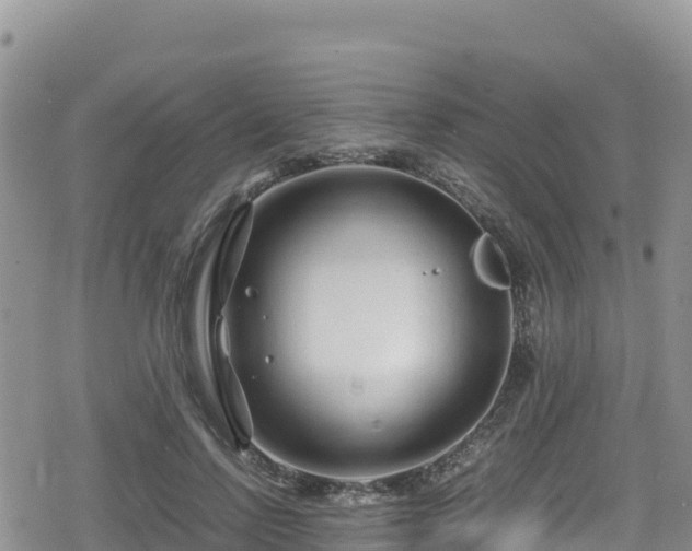 X0000080710742200612221142