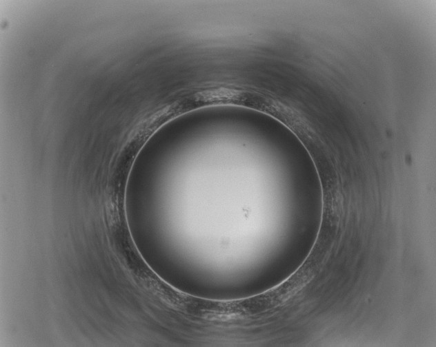 X0000080710743200612221142