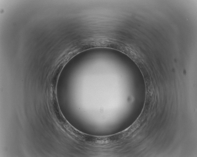 X0000080710744200612221142