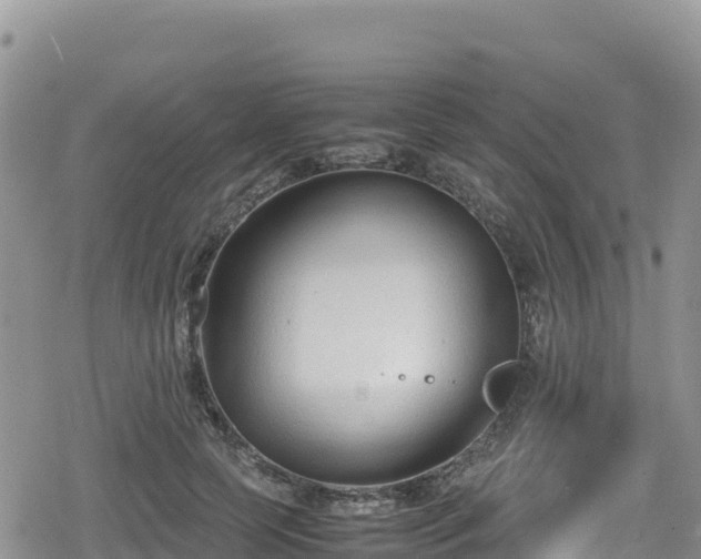 X0000080710745200612221142