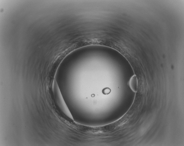 X0000080710747200612221142