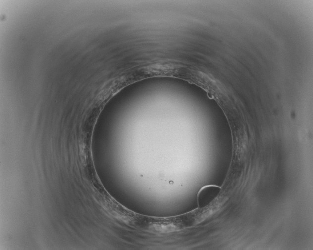 X0000080710749200612221142