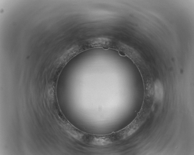 X0000080710753200612221142