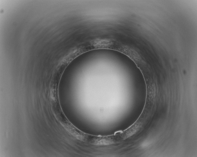 X0000080710755200612221142