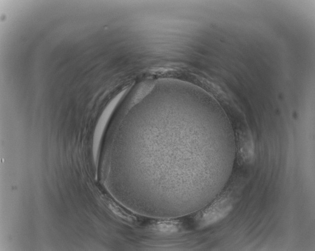 X0000080710758200612221142