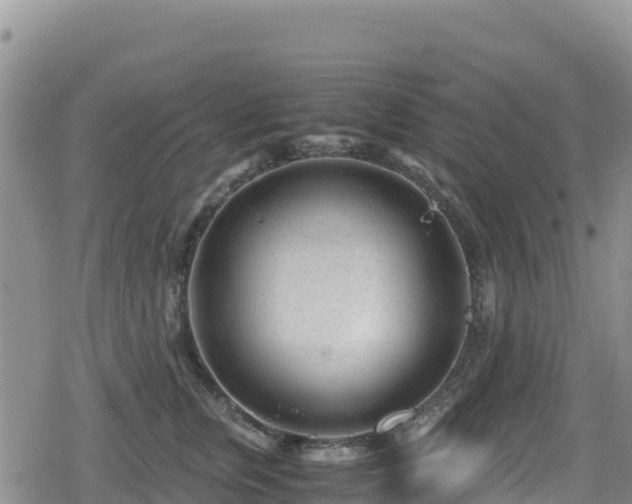 X0000080710759200612221142