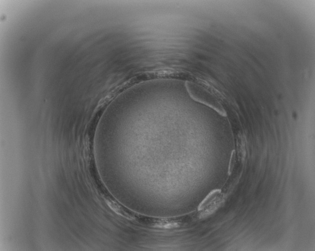 X0000080710760200612221142