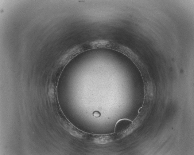 X0000080710761200612221142