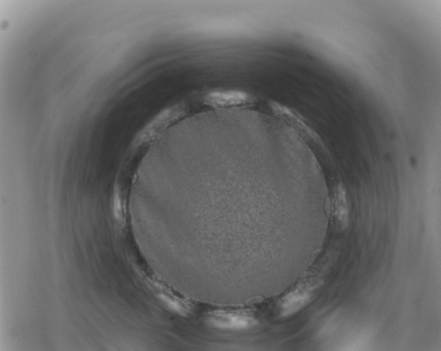 X0000080710763200612221142