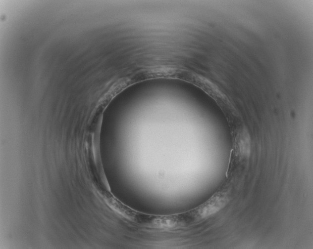 X0000080710764200612221142