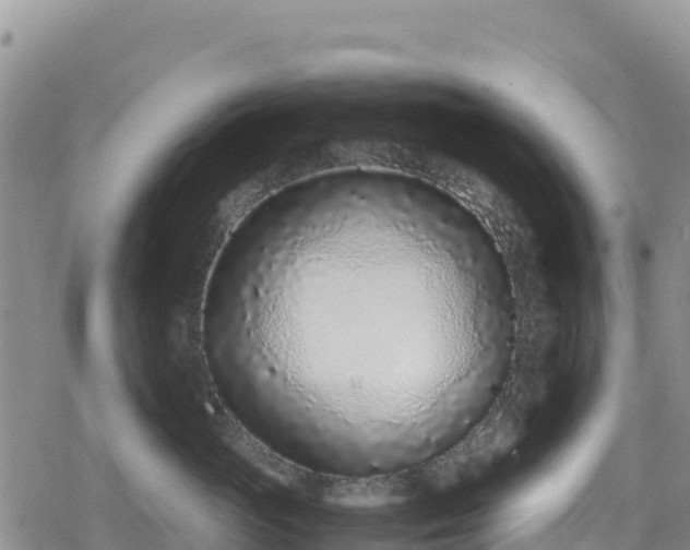 X0000080710765200612221142