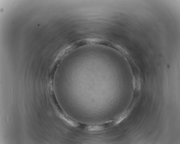 X0000080710766200612221143