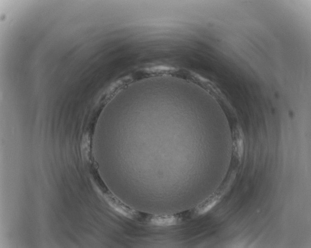 X0000080710767200612221143