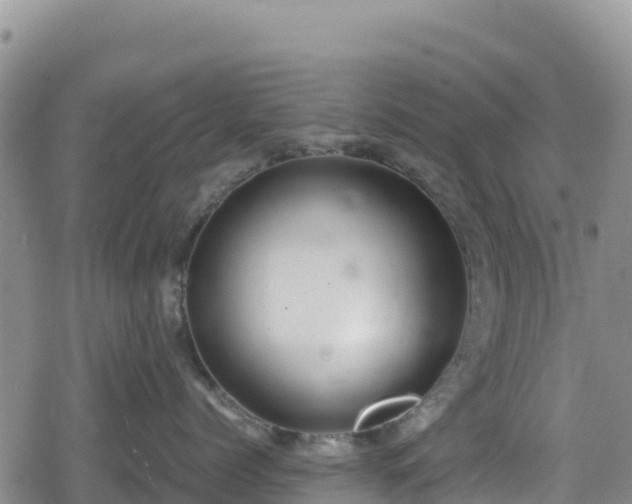 X0000080710768200612221143