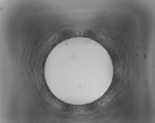 X0000080710769200612221142