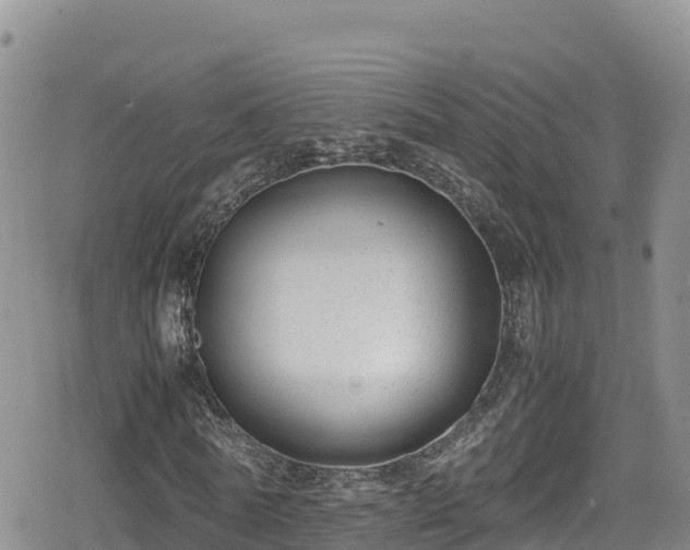 X0000080710770200612221142