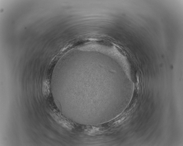 X0000080710772200612221142