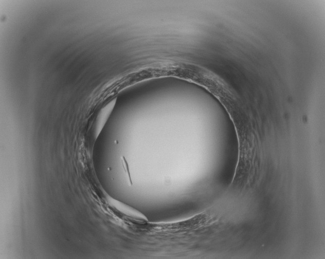 X0000080710773200612221142