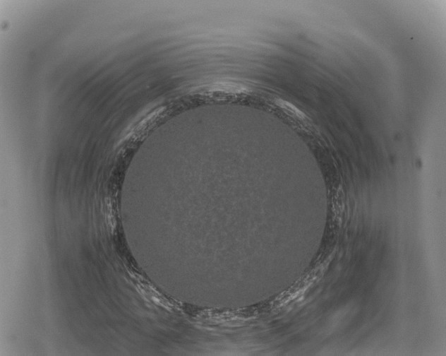 X0000080710774200612221142