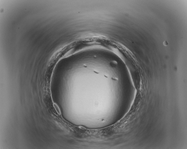 X0000080710775200612221142