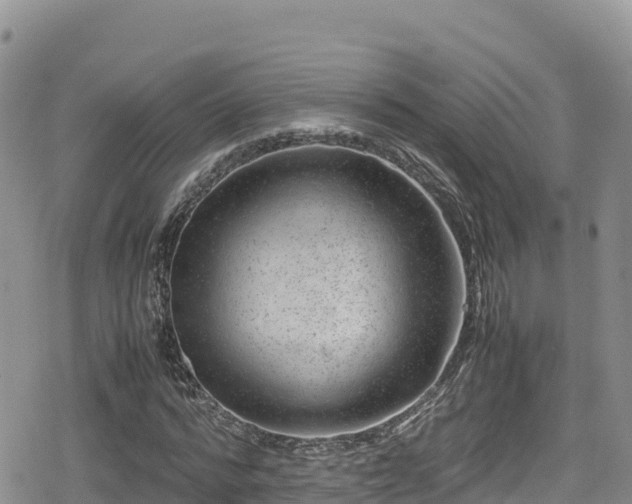 X0000080710776200612221142