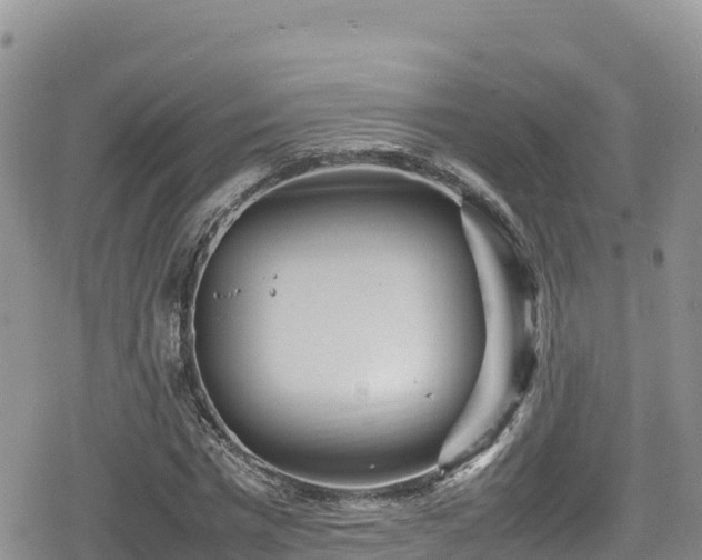 X0000080710777200612221142