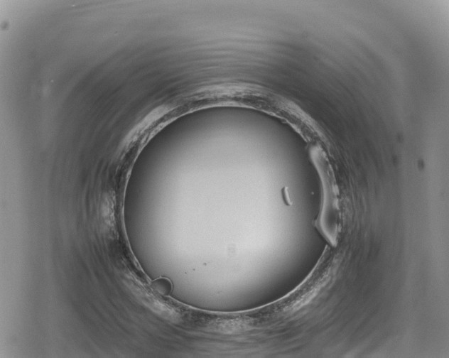 X0000080710778200612221142