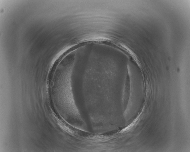 X0000080710779200612221142