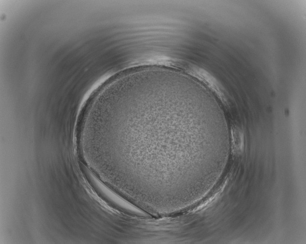 X0000080710780200612221142