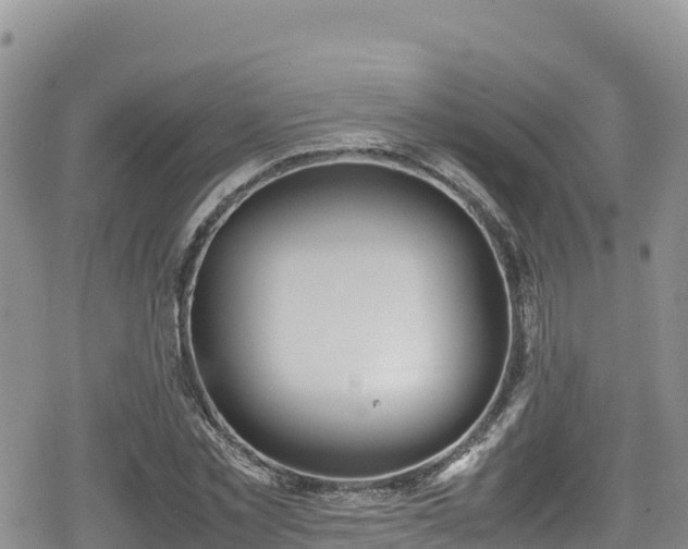 X0000080710781200612221142