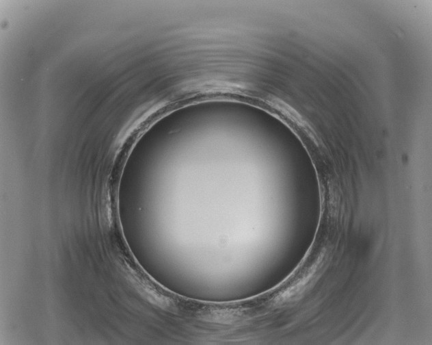 X0000080710782200612221142