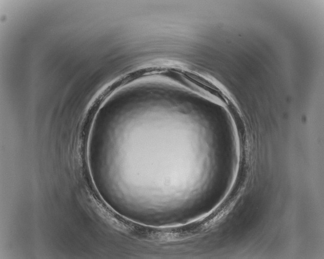 X0000080710783200612221142