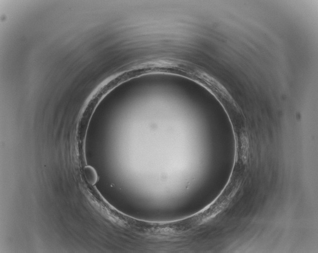 X0000080710784200612221142