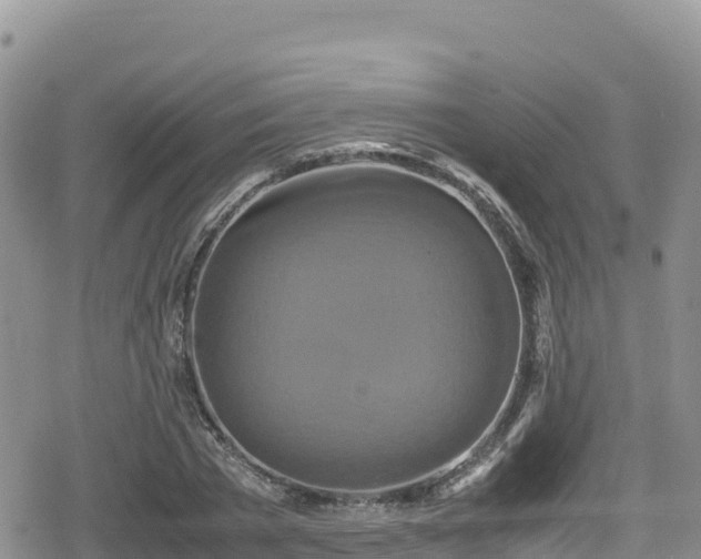 X0000080710785200612221141