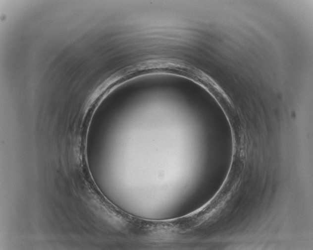 X0000080710786200612221141