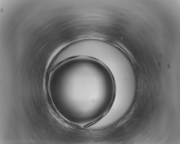 X0000080710788200612221141