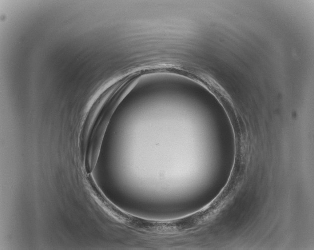 X0000080710789200612221141