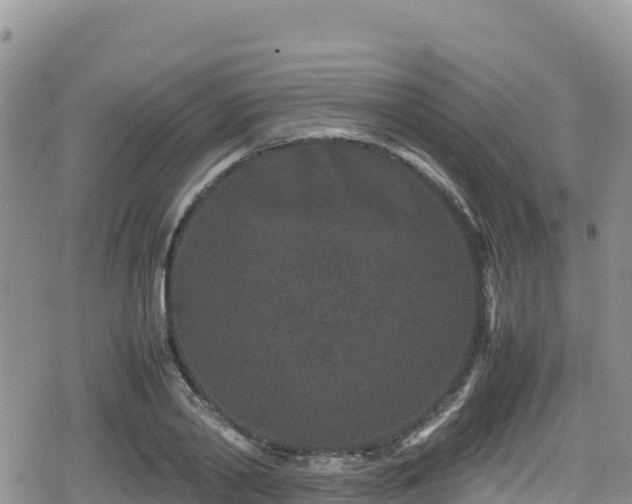 X0000080710790200612221141